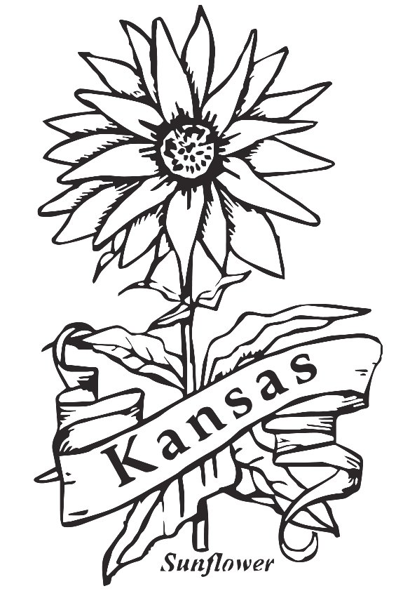595x842 Sunflower Coloring Pages Kansas City