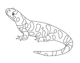 256x203 Kansas Day Classroom Activities