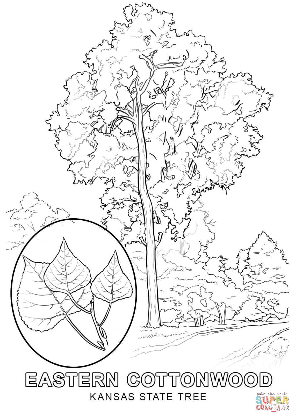 27 Western Meadowlark Coloring Page, Friends Across America Free 1020x1440 27 Western Meadowlark Coloring Page, Friends Across America Free