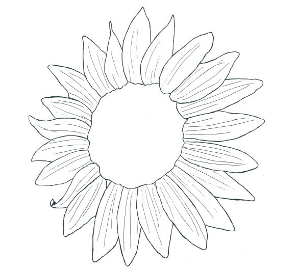 Kansas Day Classroom Activities 586x534 Kansas Day Classroom Activities