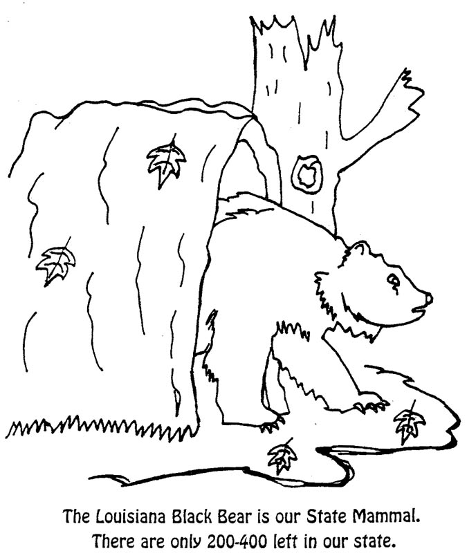 Coloring Pages Office Of The Governor Of Louisiana 675x810 Coloring Pages Office Of The Governor Of Louisiana