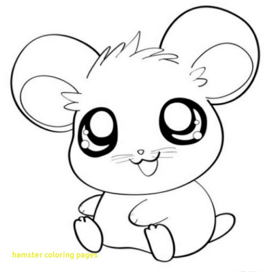 Hamster Coloring Pages Hamster Coloring Pages With Free Kawaii 900x900 Hamster Coloring Pages Hamster Coloring Pages With Free Kawaii