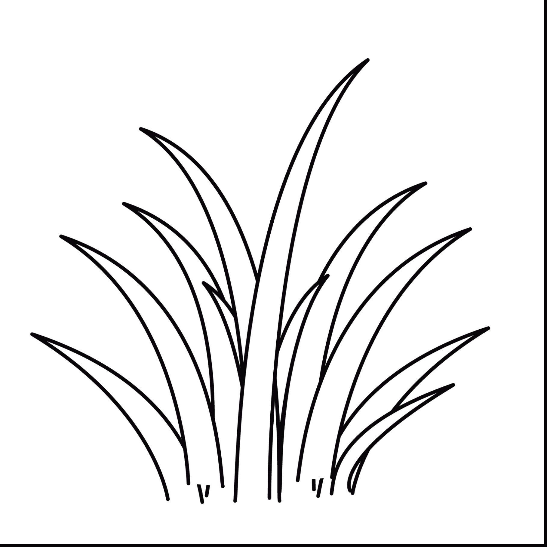 Sea Plants Coloring Pages Discover All 1819x1819 Sea Plants Coloring Pages Discover All