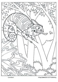 236x333 Can You Spot The Leopard Shark Ocean Inspirations Crafts