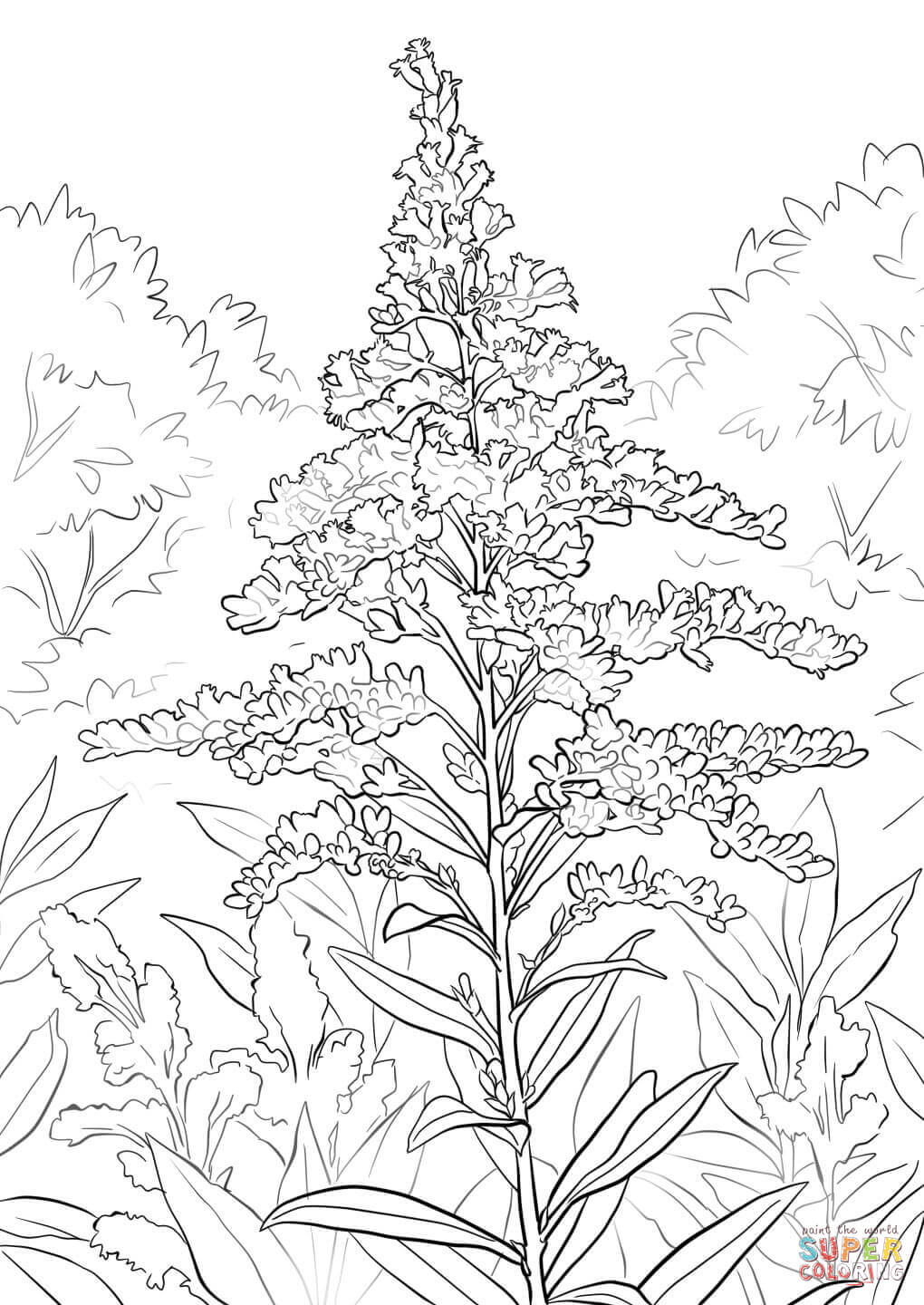 1020x1440 Mainstream Goldenrod Coloring Page Giant Free Printable Pages