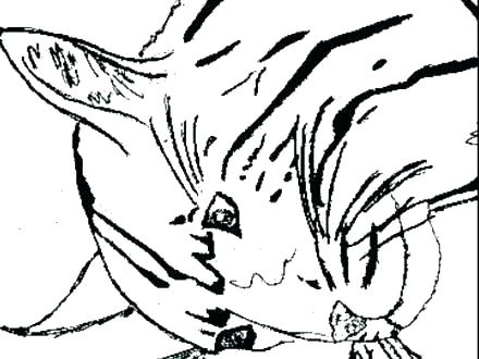 440x330 Wildcat Coloring Page Basketball And Net Coloring Page Uk Kentucky