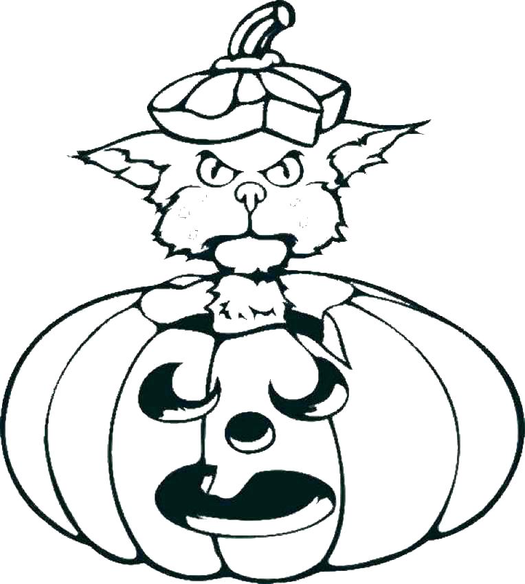 764x850 Wildcat Coloring Pages Teleks.site