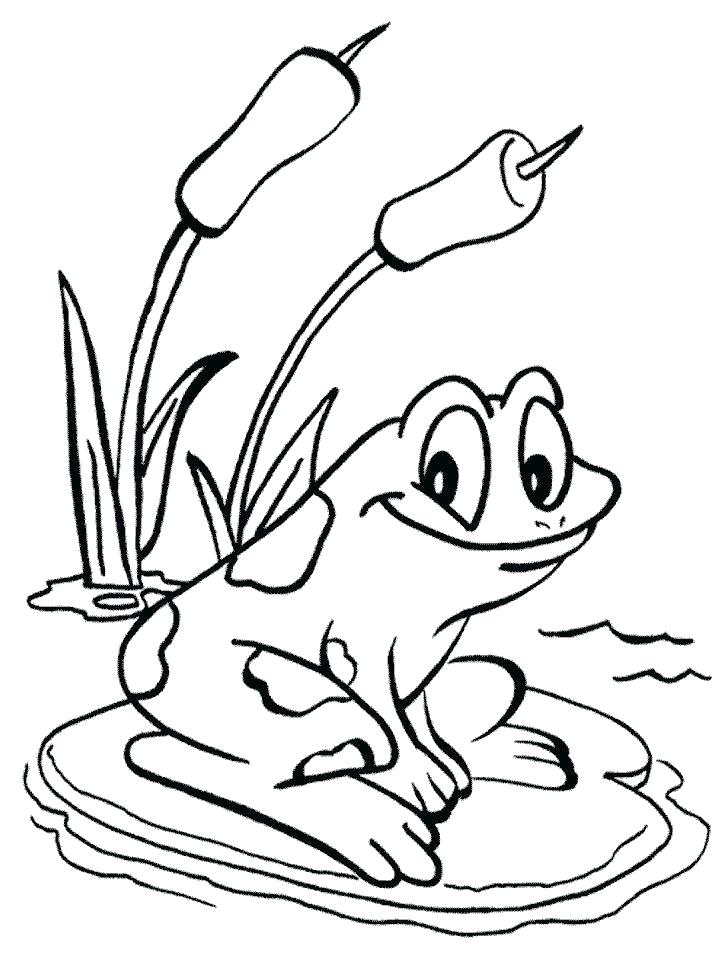 718x957 Kermit The Frog Coloring Page Frog For Coloring Print Coloring