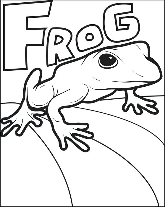 558x700 Printable Frog Coloring Pages Printable Frog Coloring Page