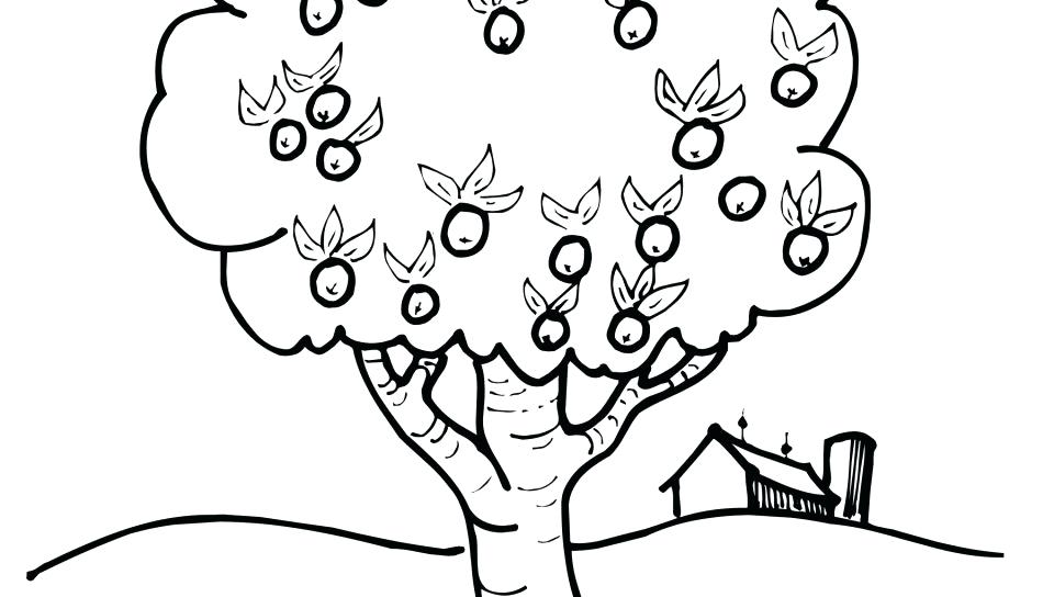 Singular Laptop Coloring Pages For Kids Printable Keyboard Drawn 960x544 Singular Laptop Coloring Pages For Kids Printable Keyboard Drawn