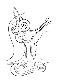 236x333 Free Coloring Page With Kidney And Excretory System Details