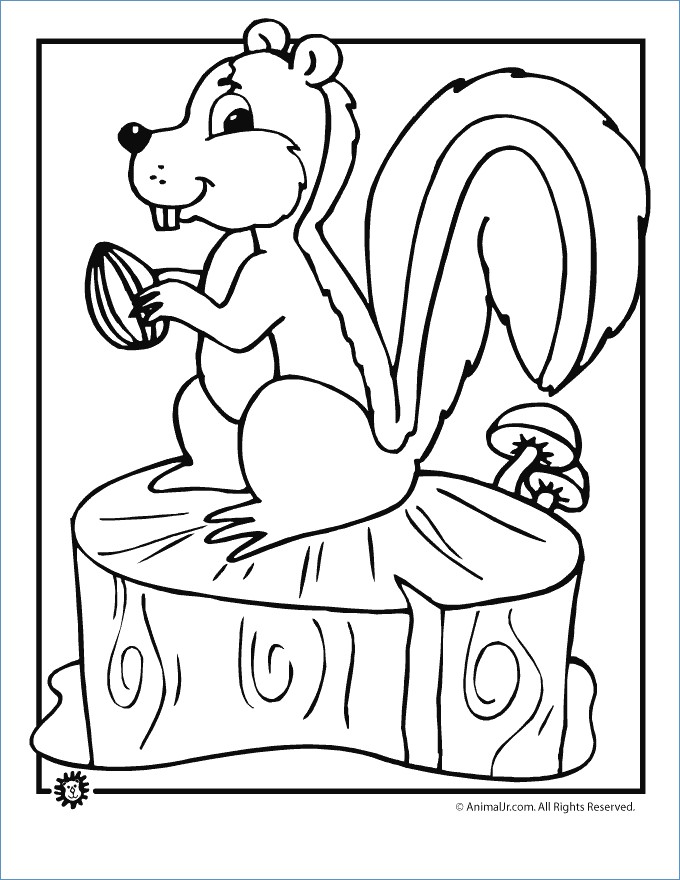 680x880 Summer Coloring Pages Activities