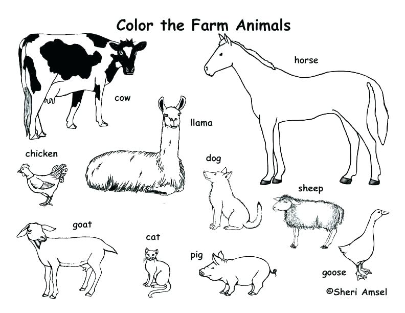 792x612 Animal Coloring Pages Free Farm Animal Colouring Pages Free Kids