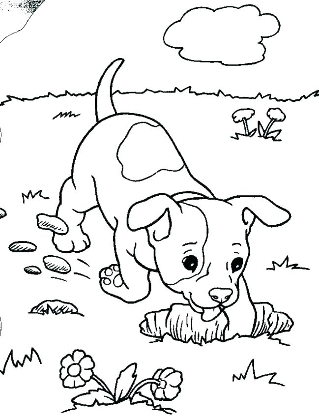 Pound Puppies Coloring Pages 649x854 Pound Puppies Coloring Pages