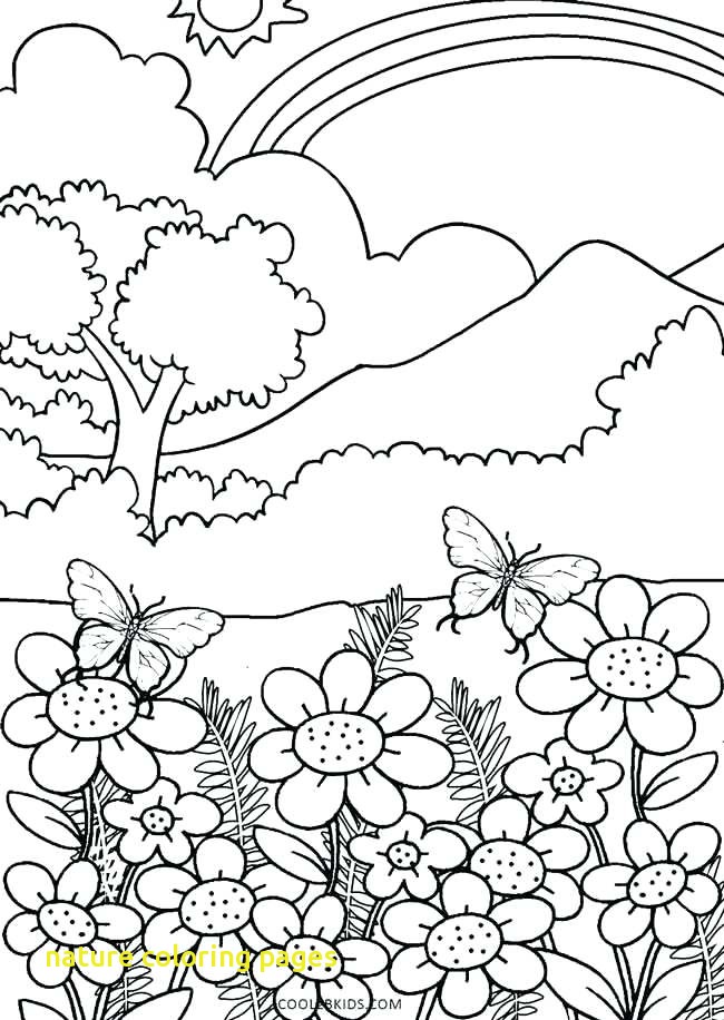 Nature Coloring Pages 650x916 Nature Coloring Pages