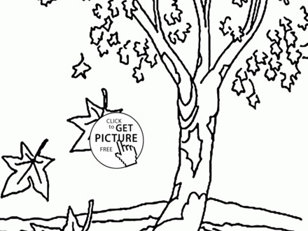 48 Free Tree Coloring Pages, Fall Tree Coloring Pages For Kids 440x330 48 Free Tree Coloring Pages, Fall Tree Coloring Pages For Kids
