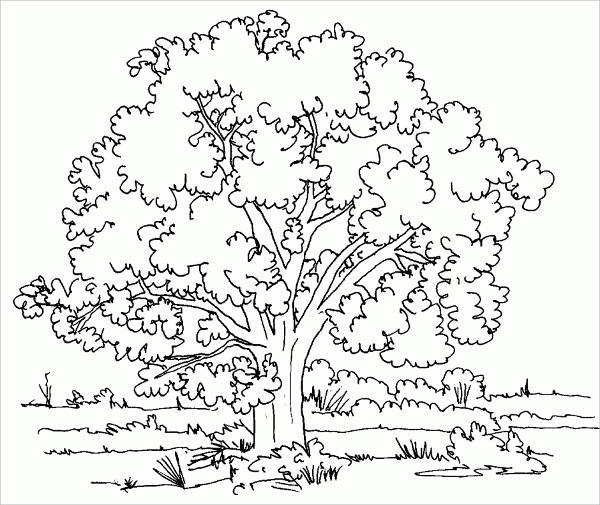 Children's Coloring Pages Free Amp Premium Templates 600x505 Children's Coloring Pages Free Amp Premium Templates