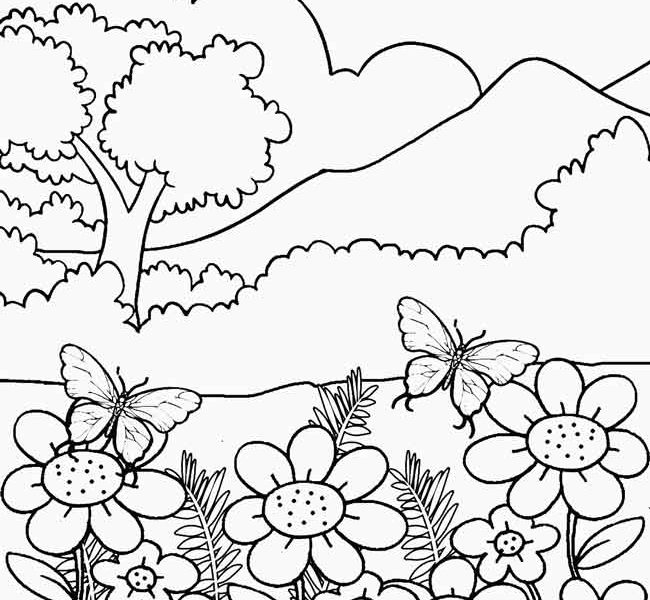 Printable Nature Pictures Coloring Page Ideas 650x600 Printable Nature Pictures Coloring Page Ideas
