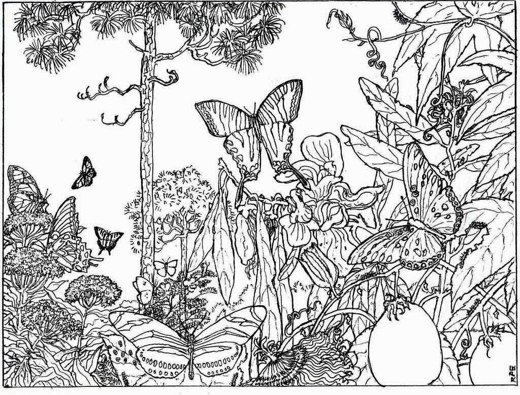 Reduced Forest Coloring Pages To Print Free Printable Nature 1024x779 Reduced Forest Coloring Pages To Print Free Printable Nature