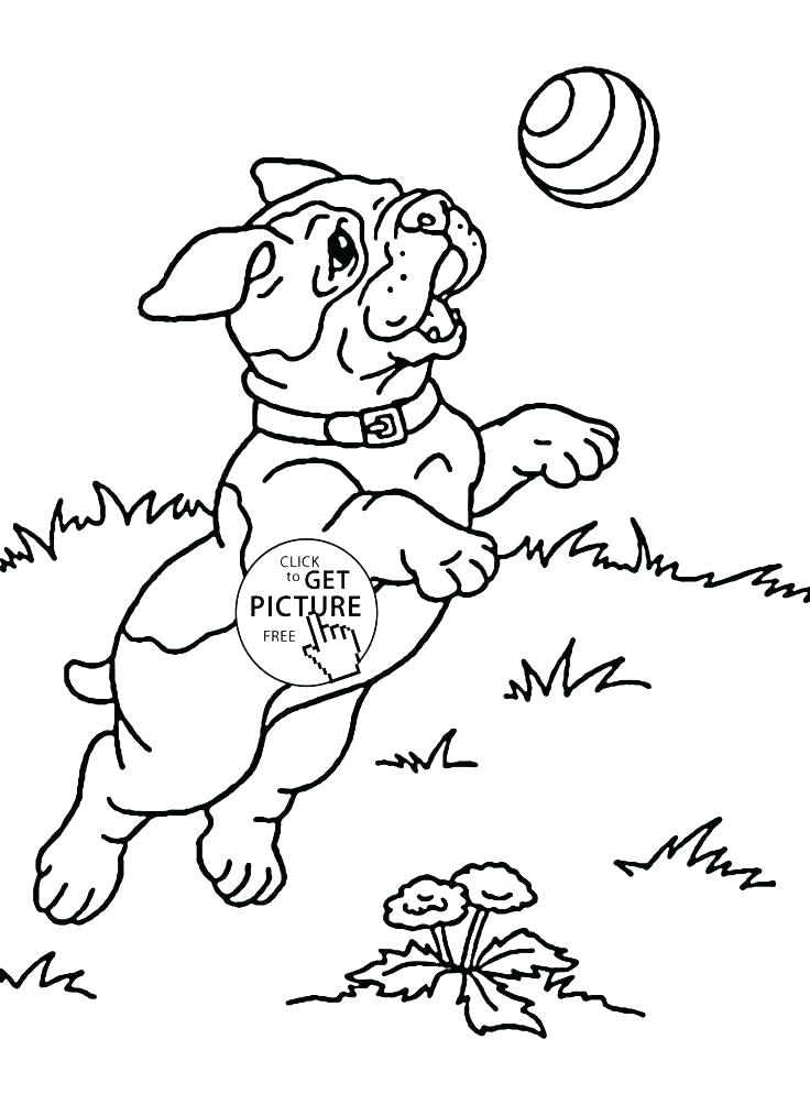 Free Animal Coloring Pages Puppy Coloring Pages Free Cute Coloring 736x994 Free Animal Coloring Pages Puppy Coloring Pages Free Cute Coloring