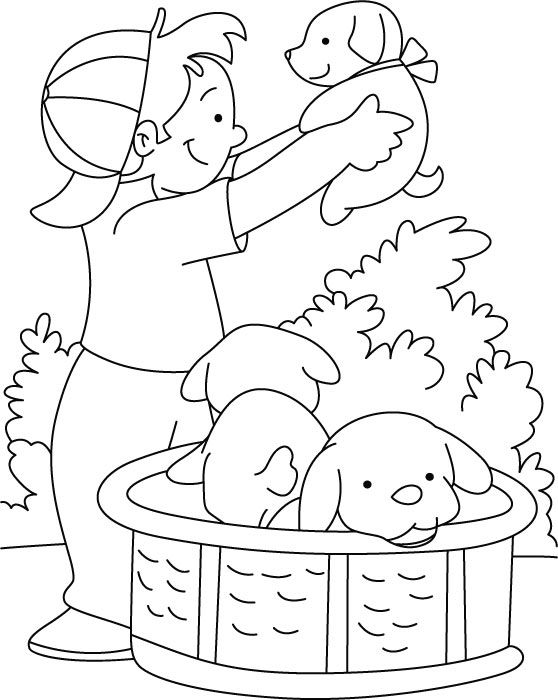 Boy Playing With Puppy Coloring Page De Colorat 558x700 Boy Playing With Puppy Coloring Page De Colorat