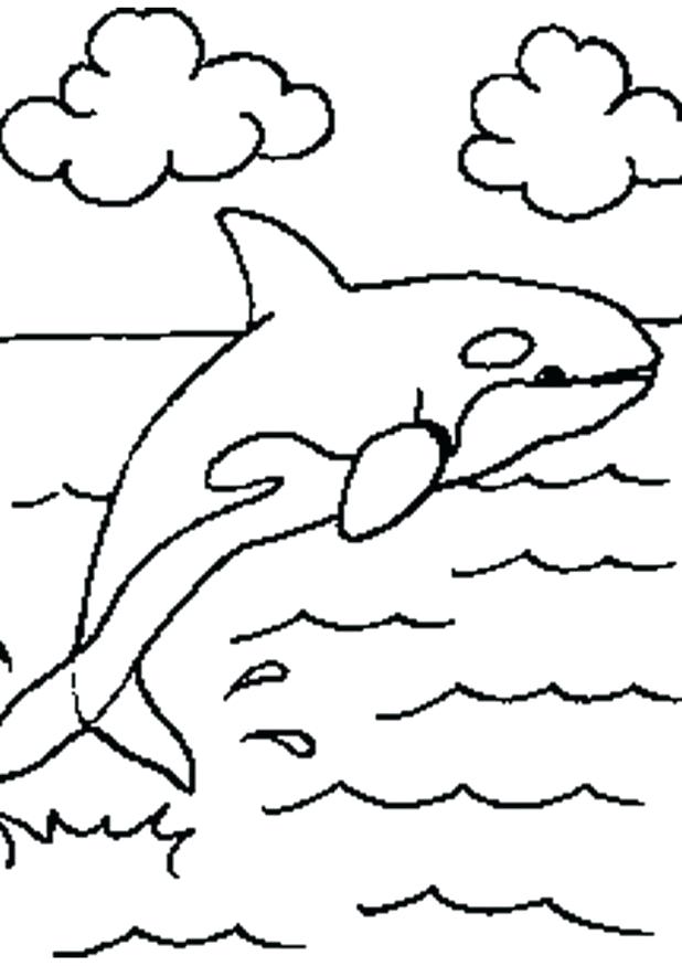 618x875 Shamu Coloring Pages Adult Killer Whale Coloring Pages Killer