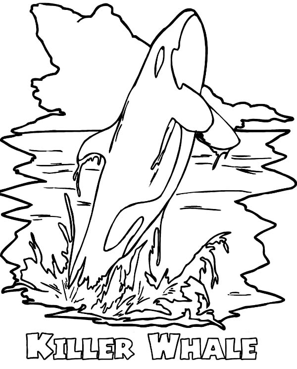 Amazing Killer Whale Or Orca Coloring Page 600x745 Amazing Killer Whale Or Orca Coloring Page