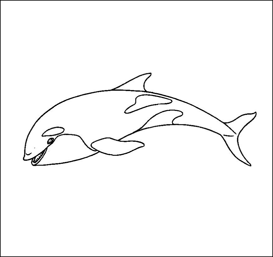 Killer Whale Coloring Pages Awesome Cute Killer Whale Is Jumping 875x825 Killer Whale Coloring Pages Awesome Cute Killer Whale Is Jumping