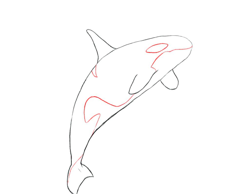Killer Whale Coloring Pages Killer Whale Coloring Pages Cartoon 940x796 Killer Whale Coloring Pages Killer Whale Coloring Pages Cartoon