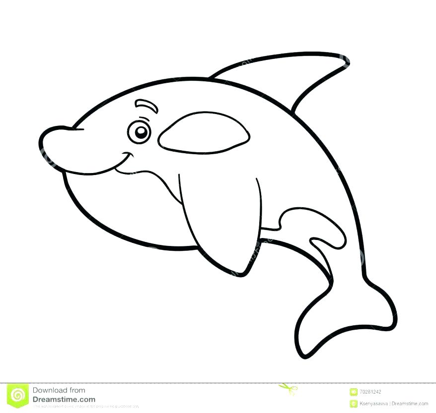 Killer Whale Pictures To Print Kids Coloring Whale Coloring Pages 878x833 Killer Whale Pictures To Print Kids Coloring Whale Coloring Pages