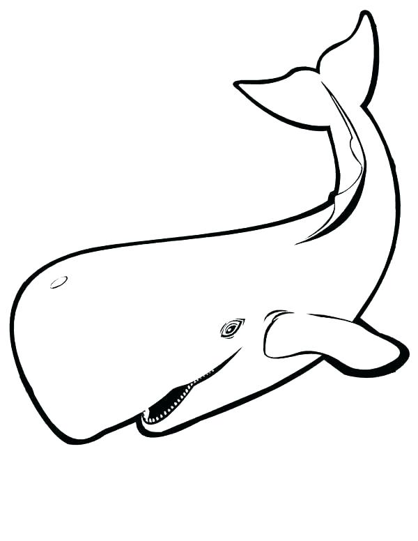 Orca Whale Coloring Pages Whale Coloring Pages Whale Coloring 600x776 Orca Whale Coloring Pages Whale Coloring Pages Whale Coloring