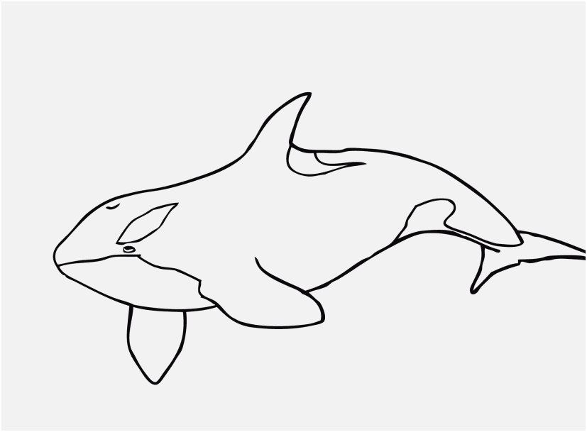 Veterinarian Coloring Pages View Killer Whale Coloring Pages Free 827x609 Veterinarian Coloring Pages View Killer Whale Coloring Pages Free