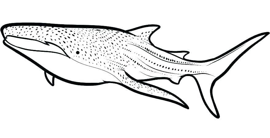 Whale Shark Coloring Page Whale Coloring Pages Elegant Shark 878x450 Whale Shark Coloring Page Whale Coloring Pages Elegant Shark