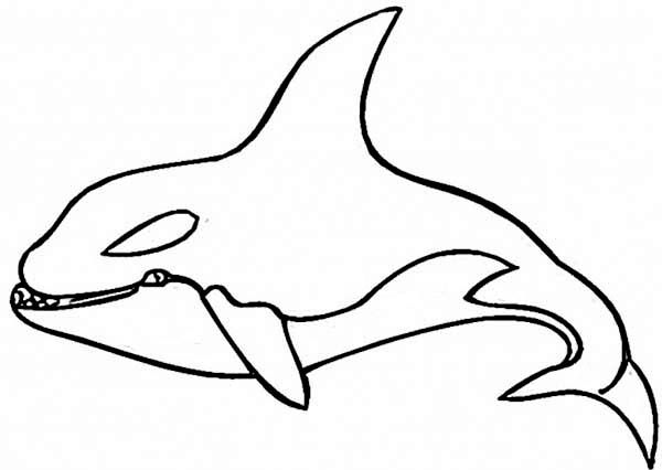 Coloring Page Shark Killer Whale Coloring Pages 600x426 Coloring Page Shark Killer Whale Coloring Pages