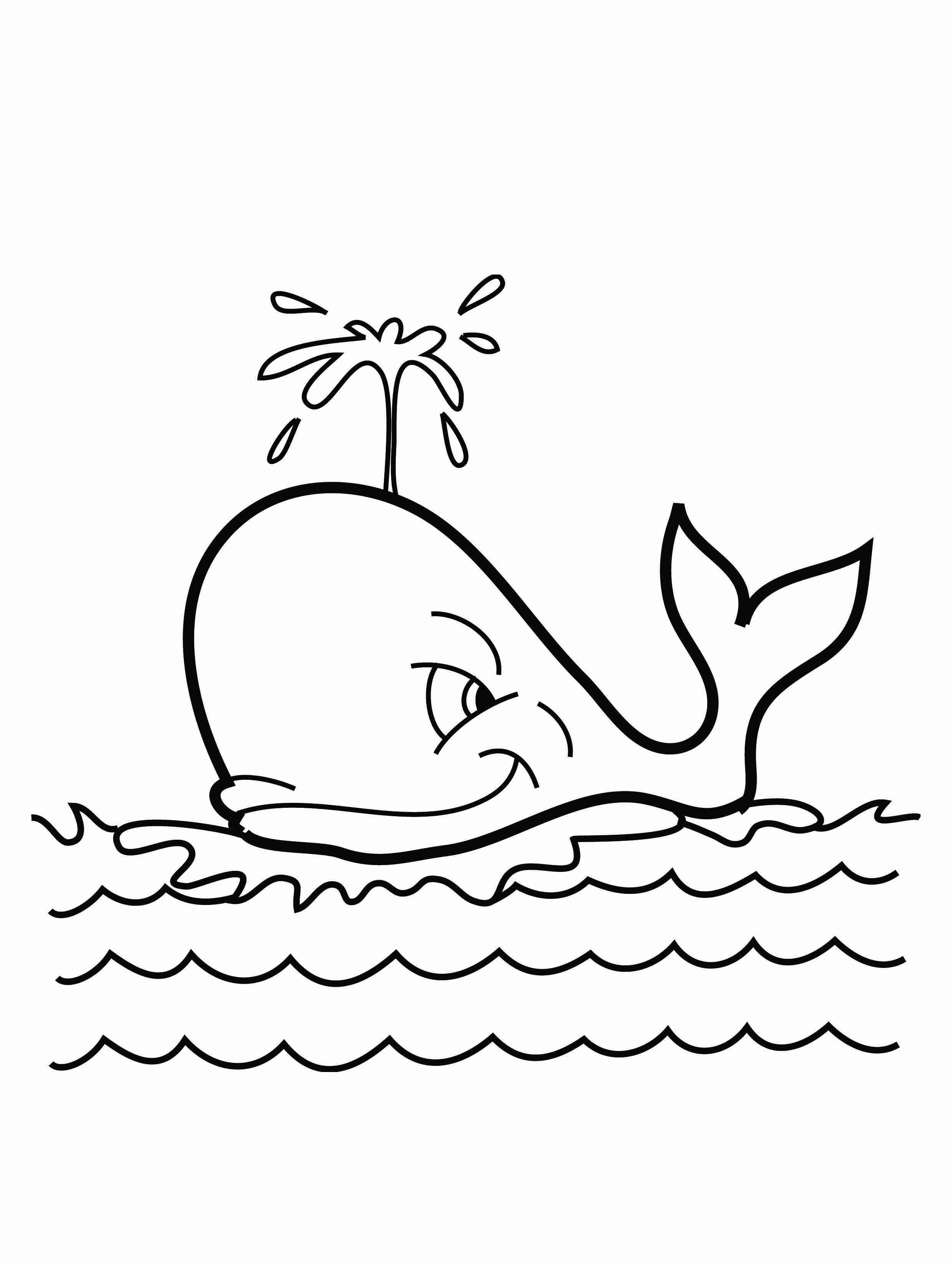 2480x3292 Killer Whale Coloring Pages With Orca Worksheet 7341 Free