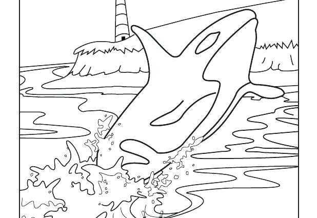 618x425 Orca Coloring Page Coloring Page Coloring Pages Clip Art Whale