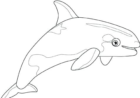 476x333 Printable Whale Coloring Pages For Kids Cool2bkids Beluga Whale