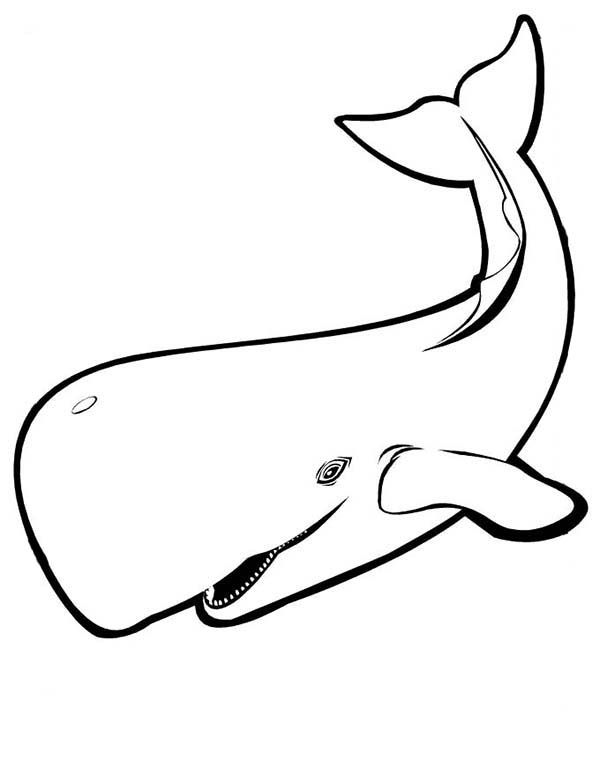 600x776 Whale Coloring Page Coloring Kids