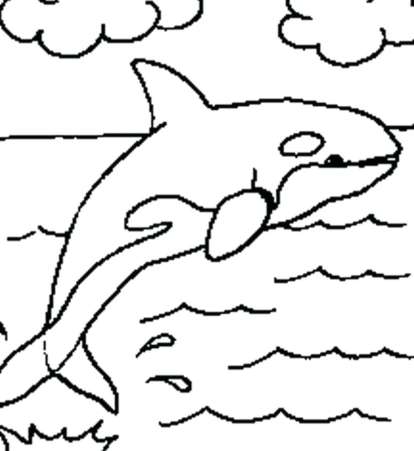 826x900 Whale Killer Orca Whale Coloring Pages