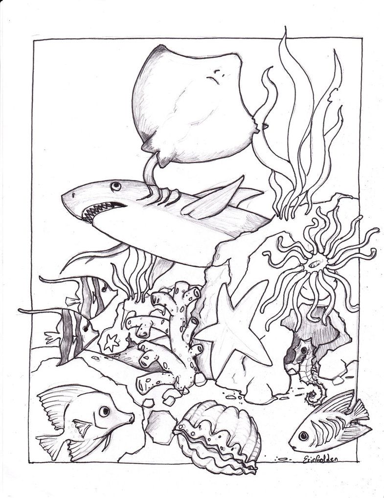 785x1018 Httpcolorings.coprintable Ocean Animals Coloring Pages