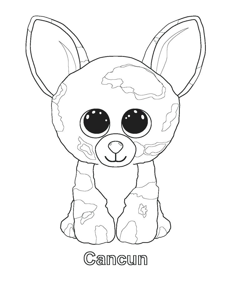 Ty Beanie Boos Coloring Pages Delectable Beanie Boo Coloring Pages 736x900 Ty Beanie Boos Coloring Pages Delectable Beanie Boo Coloring Pages