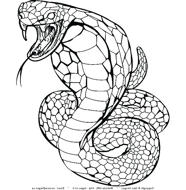 King Cobra Coloring Page at GetColorings.com | Free printable colorings ...