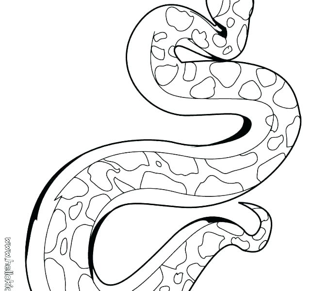 678x600 Coloring Page Snake Dangerous Snake King Cobra Coloring Pages Kids