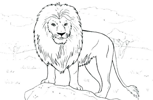 Dinosaur King Coloring Pages Page Lion Standing On A Rock Color Ki 600x393 Dinosaur King Coloring Pages Page Lion Standing On A Rock Color Ki