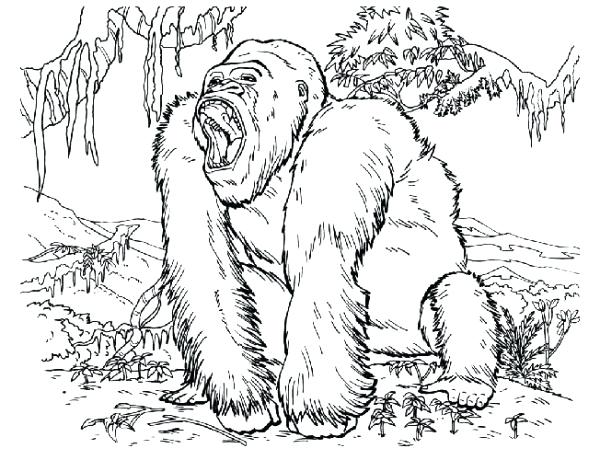 King Kong Coloring Pages Free Open Mouth 600x460 King Kong Coloring Pages Free Open Mouth