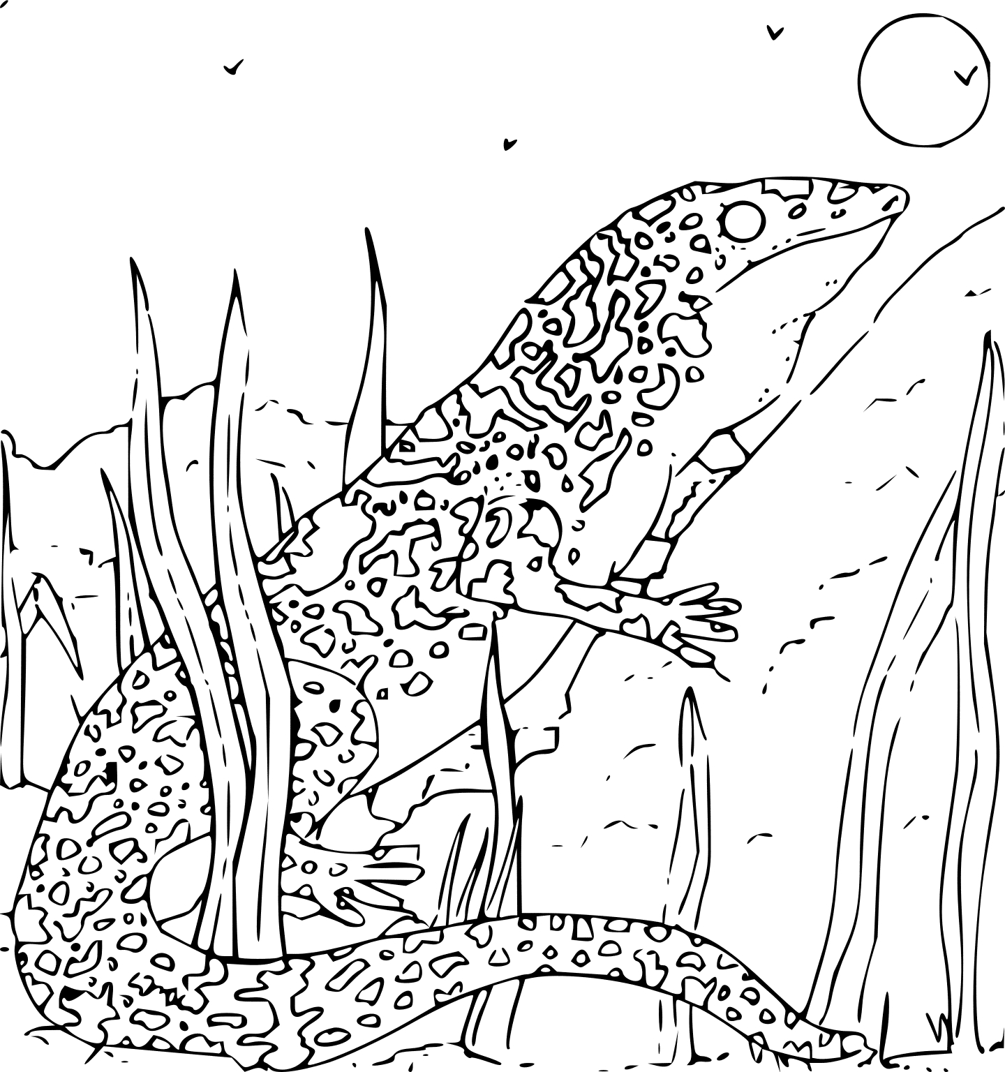 Kingfisher Animal Coloring Pages 1440x1536 Kingfisher Animal Coloring Pages