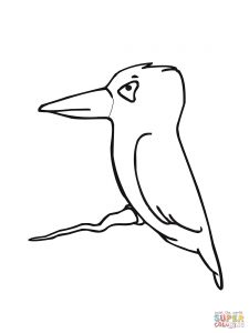 Pink Breasted Kingfisher Download Coloring Page 225x300 Pink Breasted Kingfisher Download Coloring Page