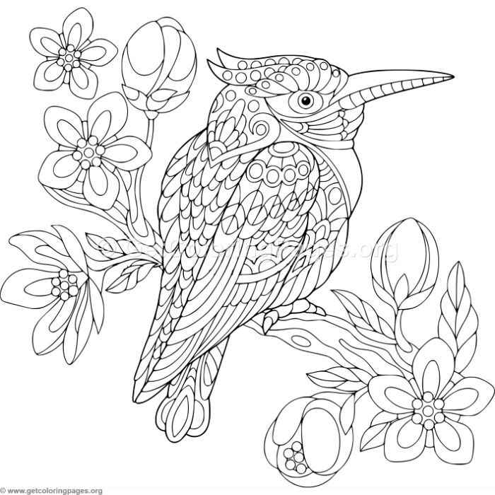 Zentangle Kingfisher Bird Coloring Pages 700x700 Zentangle Kingfisher Bird Coloring Pages