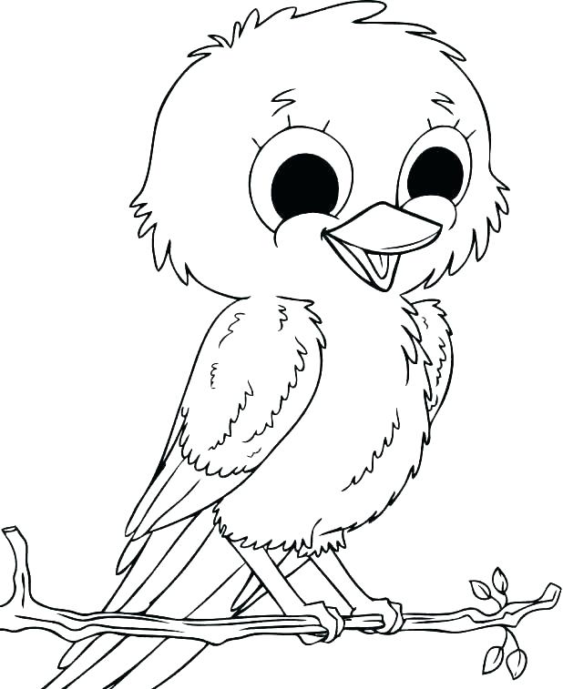 Coloring Pages Of State Birds And Flowers Birds Coloring Pages 618x757 Coloring Pages Of State Birds And Flowers Birds Coloring Pages