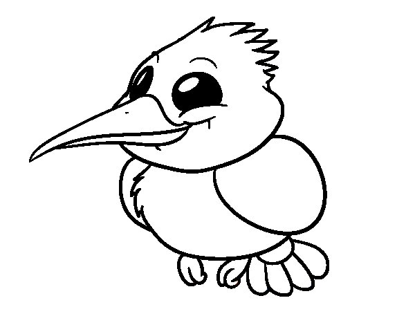 Common Kingfisher Coloring Page 600x470 Common Kingfisher Coloring Page